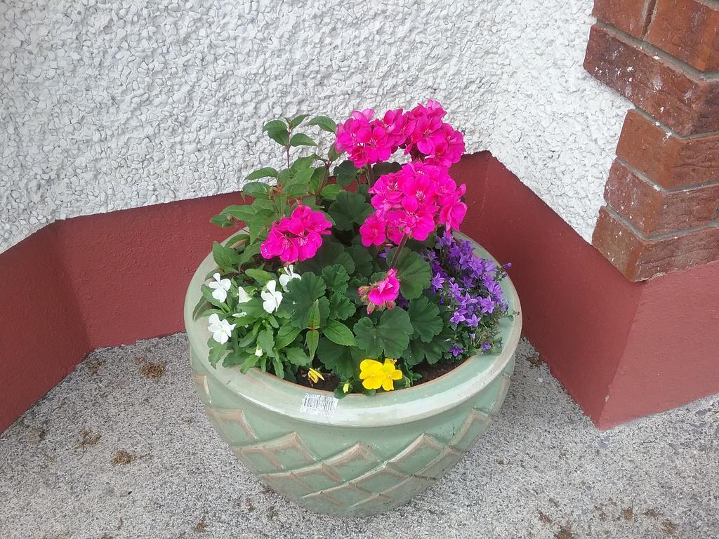 Rocksberry Bed & Breakfast Castlebar Exterior photo